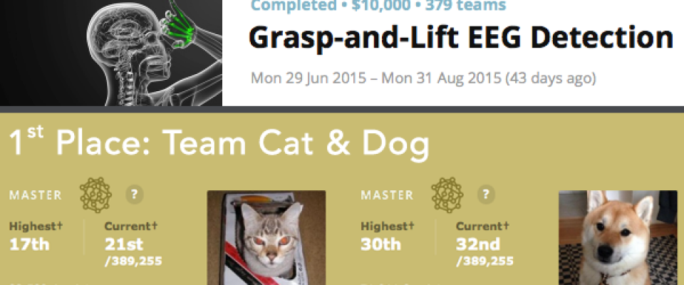 Team Cat & Dog Awarded First Place