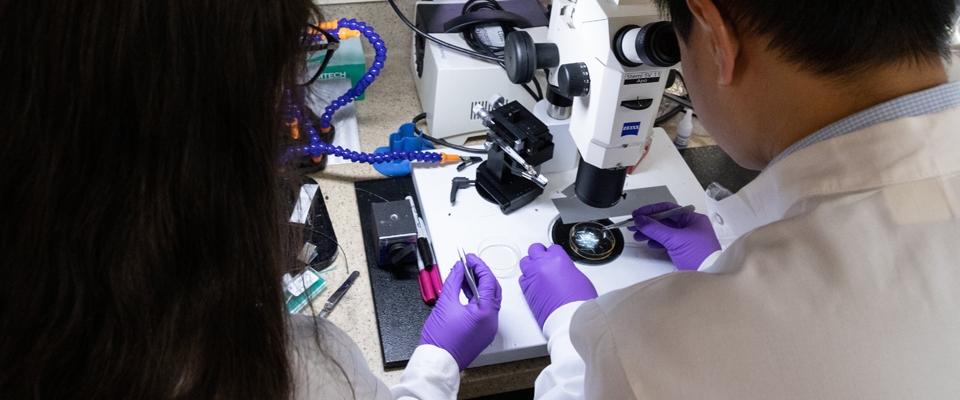 Members of Zhong Lab working on microscope