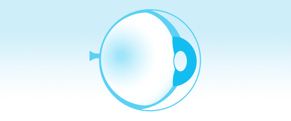 Retinal Degenerative Diseases icon