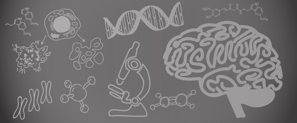 Traumatic Brain Injury Research Clinical Trials Burke Traumatic Brain Injury Research Clinical Trials Burke