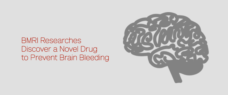BMRI Researchers Discover a Novel Drug to Prevent Brain Bleeding