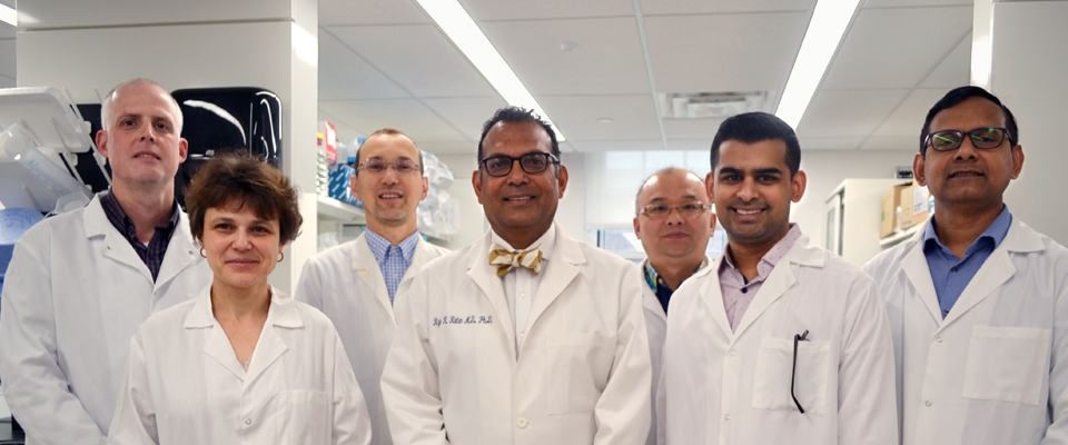 A team of scientists at the Burke Neurological Institute