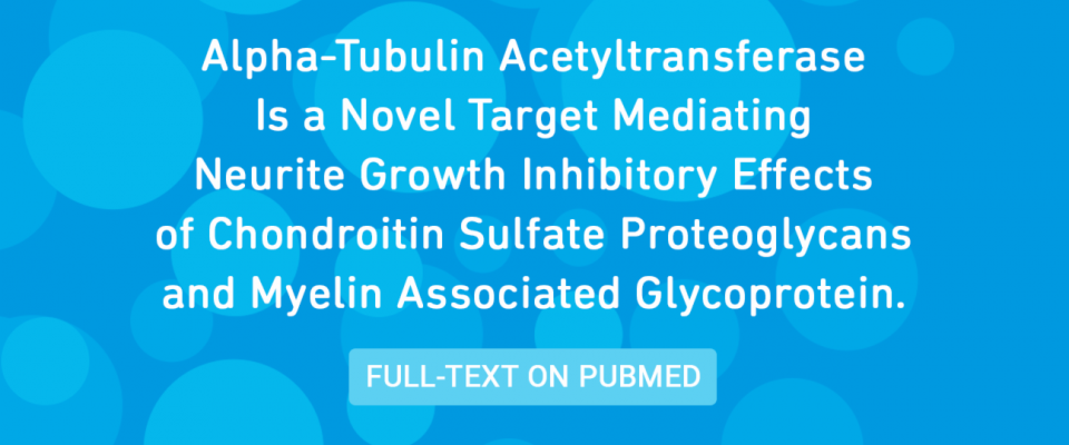 Alpha-Tubulin Acetyltransferase Is a Novel Target Mediating Neurite Growth Inhibitory Effects of Chondroitin Sulfate Proteoglycans and Myelin Associated Glycoprotein.