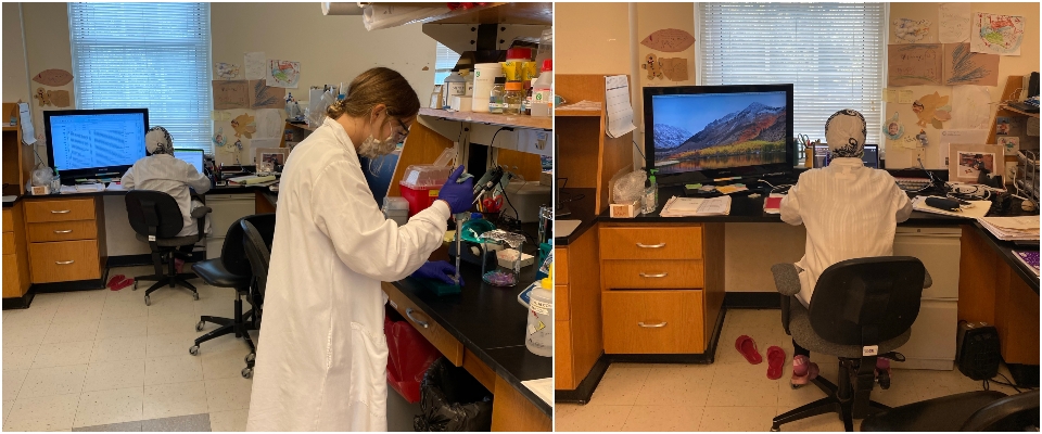 Members of Hollis Lab working in lab six feet apart