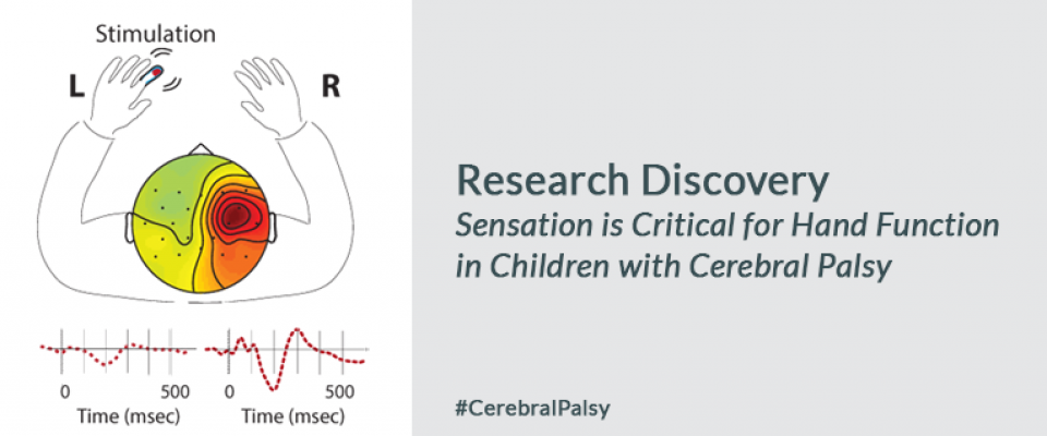 Researchers Discover a Novel Factor in Restoring Hand Function in Children with Cerebral Palsy