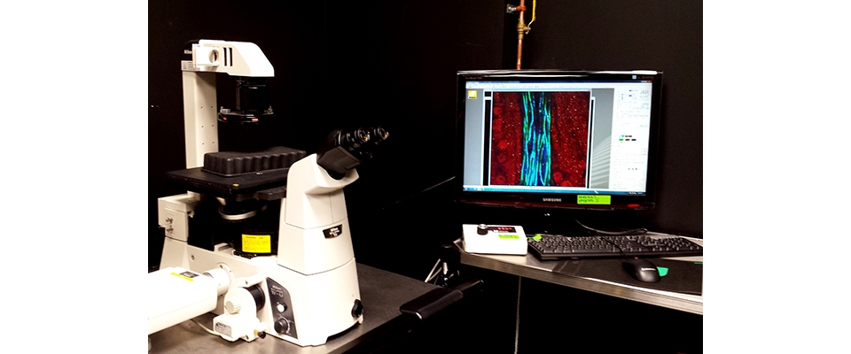 C1 Nikon Confocal Microscope Photo