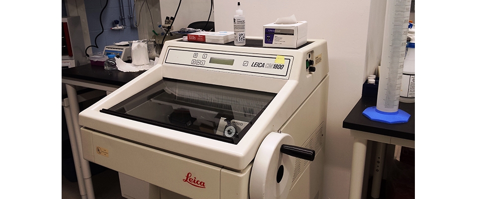 Leica CM1800 Cryostat Photo