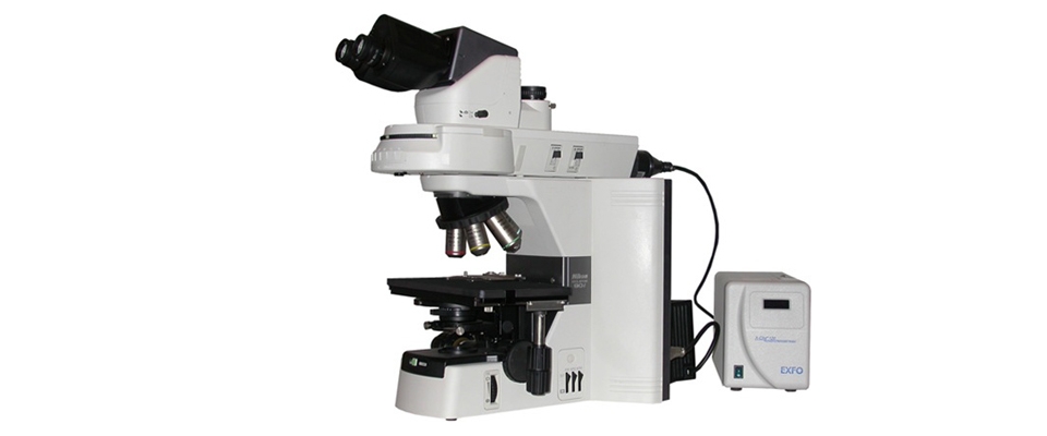 Nikon 80i Eclipse Fluorescent Microscope