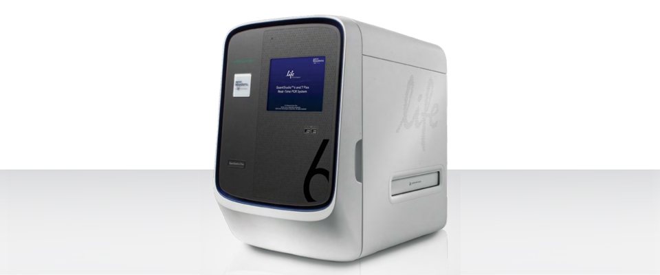 RT-PCR Quant Studio 6 (New)