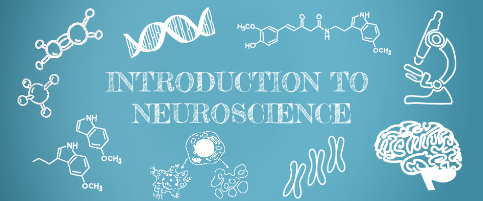 Introduction to Neuroscience