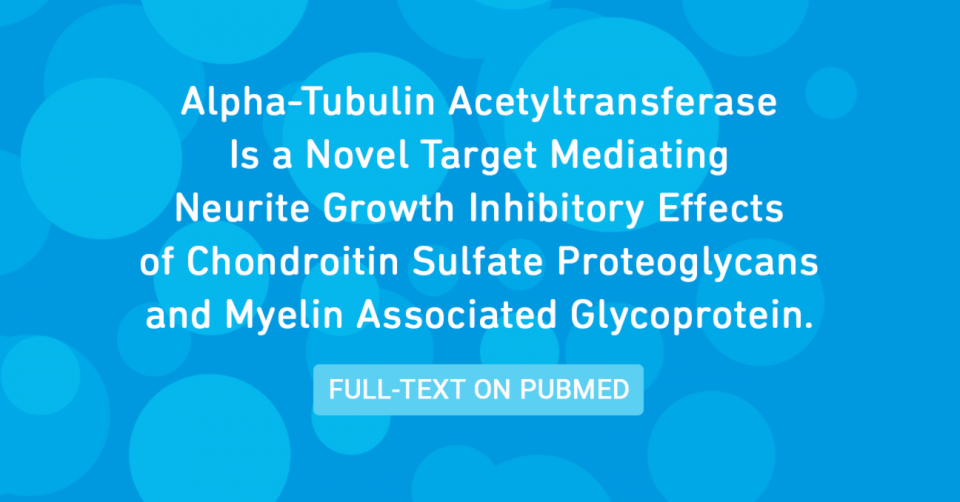Alpha-Tubulin Acetyltransferase Is a Novel Target Mediating Neurite Growth Inhibitory Effects of Chondroitin Sulfate Proteoglycans and Myelin Associated Glycoprotein.