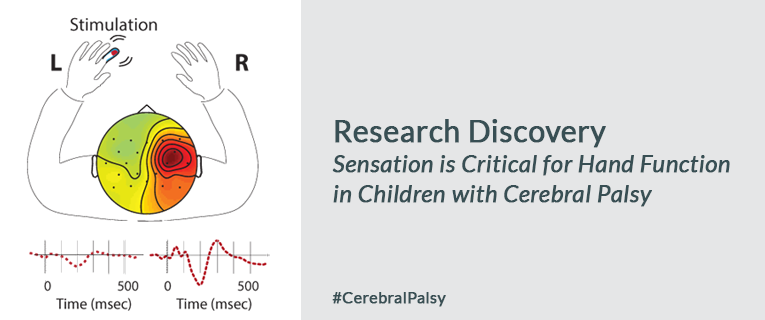 Researchers Discover a Novel Factor in Restoring Hand Function in Children with Cerebral Palsy