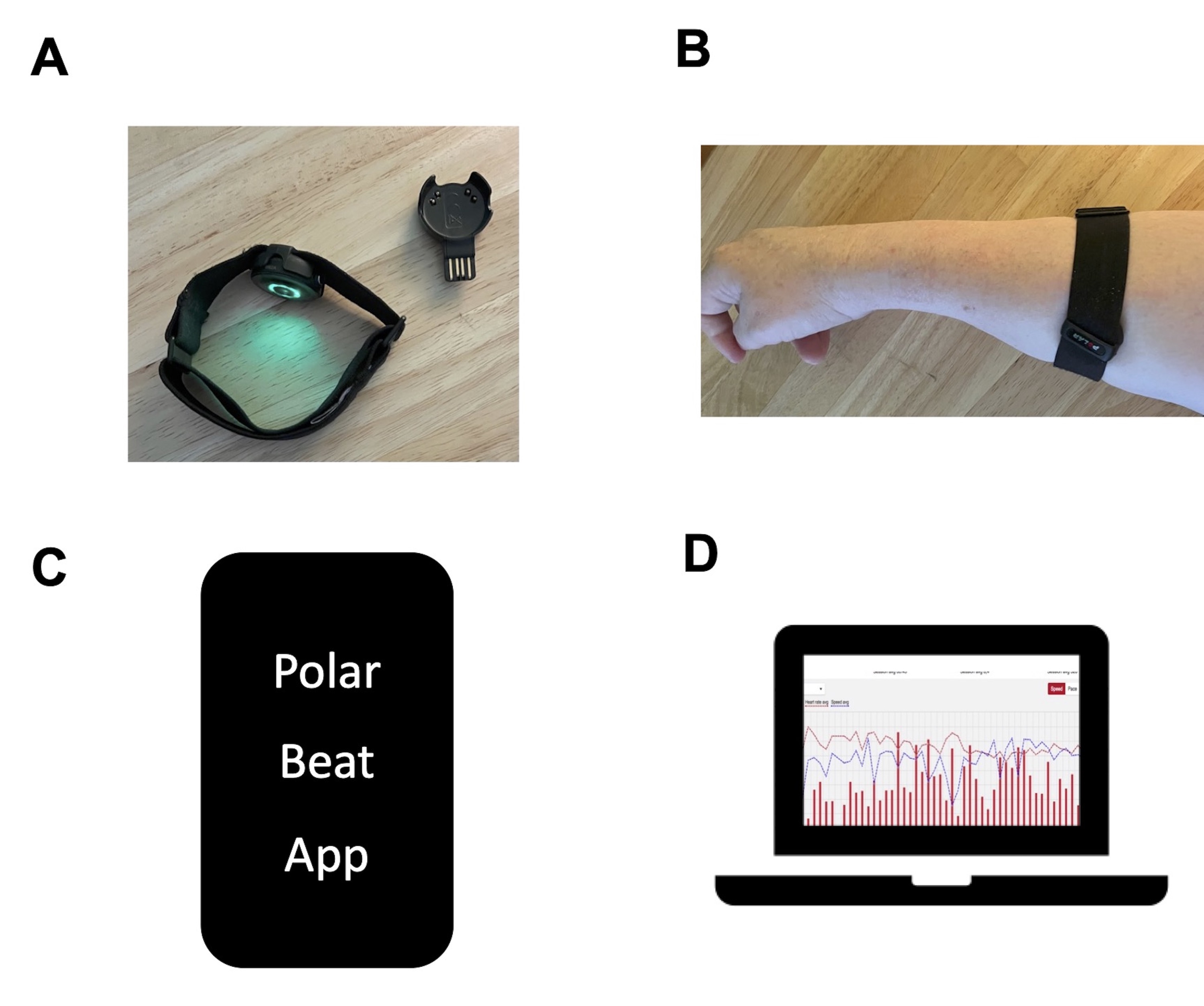 Figure 2. Polar OH1 Heart Rate monitor. 